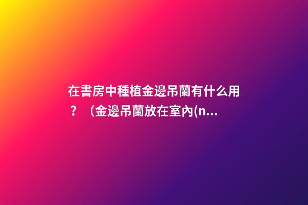在書房中種植金邊吊蘭有什么用？（金邊吊蘭放在室內(nèi)好嗎）